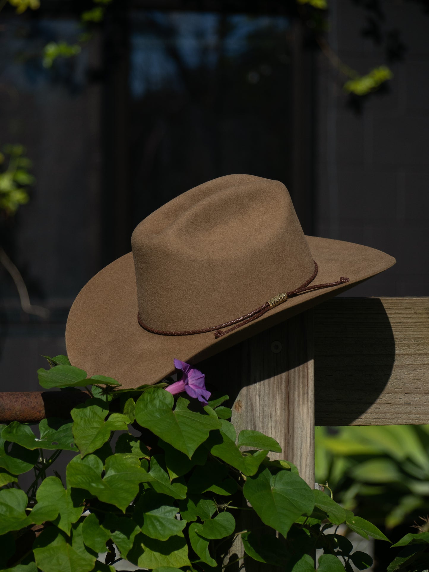 Stetson Dakota