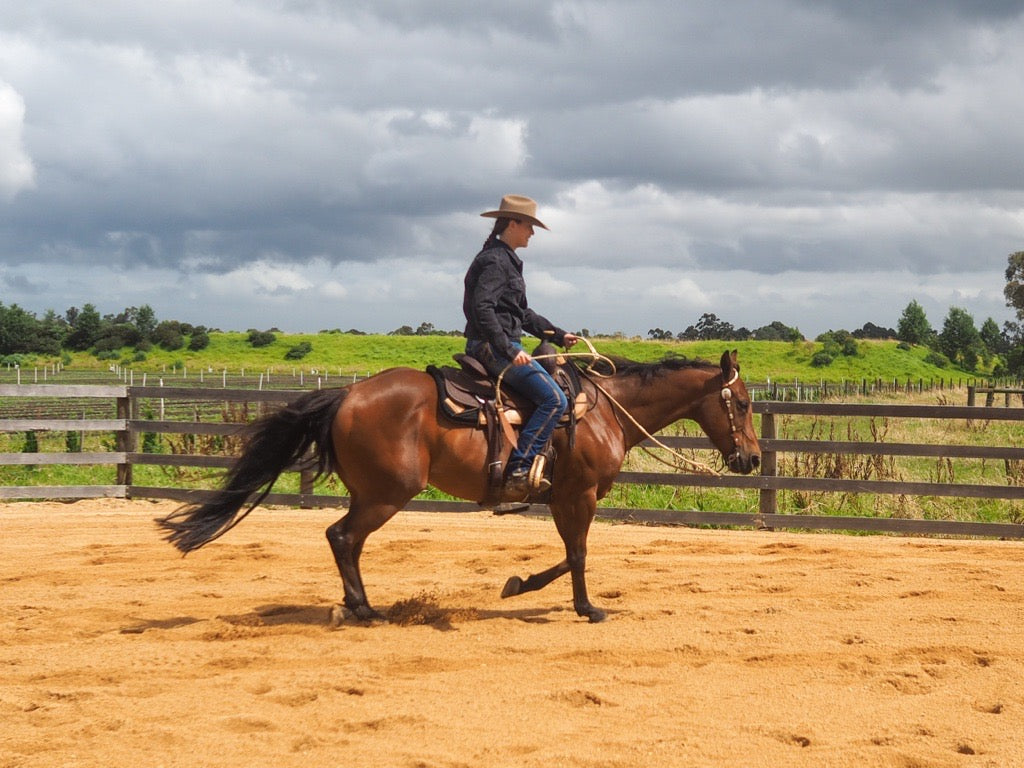 Stetson Dakota