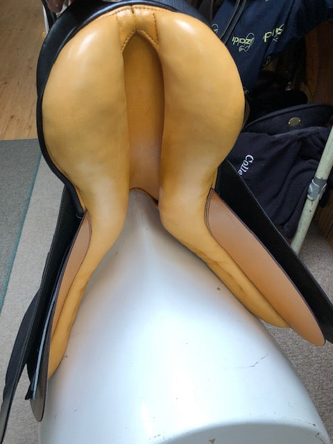 Stubben Seigfried D.L