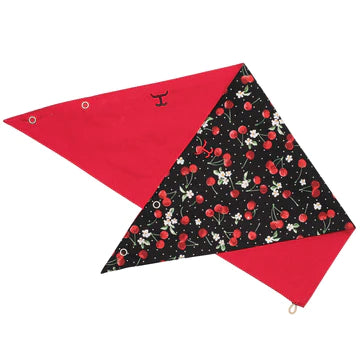 Women's - Carlee Scarf - Double Sided