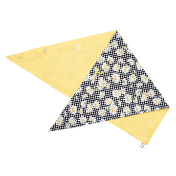 Women's - Carlee Scarf - Double Sided