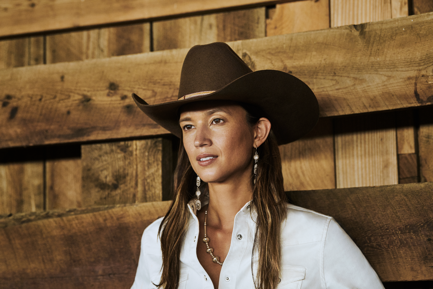 Stetson Powder River Mink