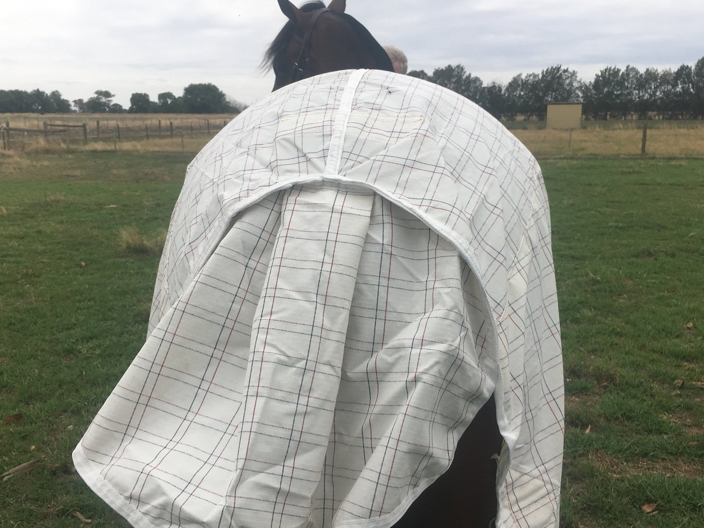 Autumn Breeze Rug