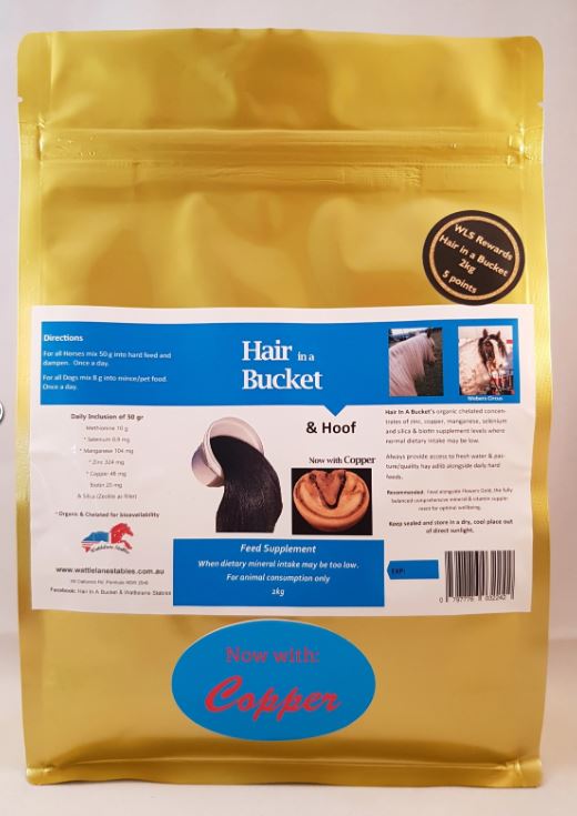 Hair in a Bucket - Suppliment