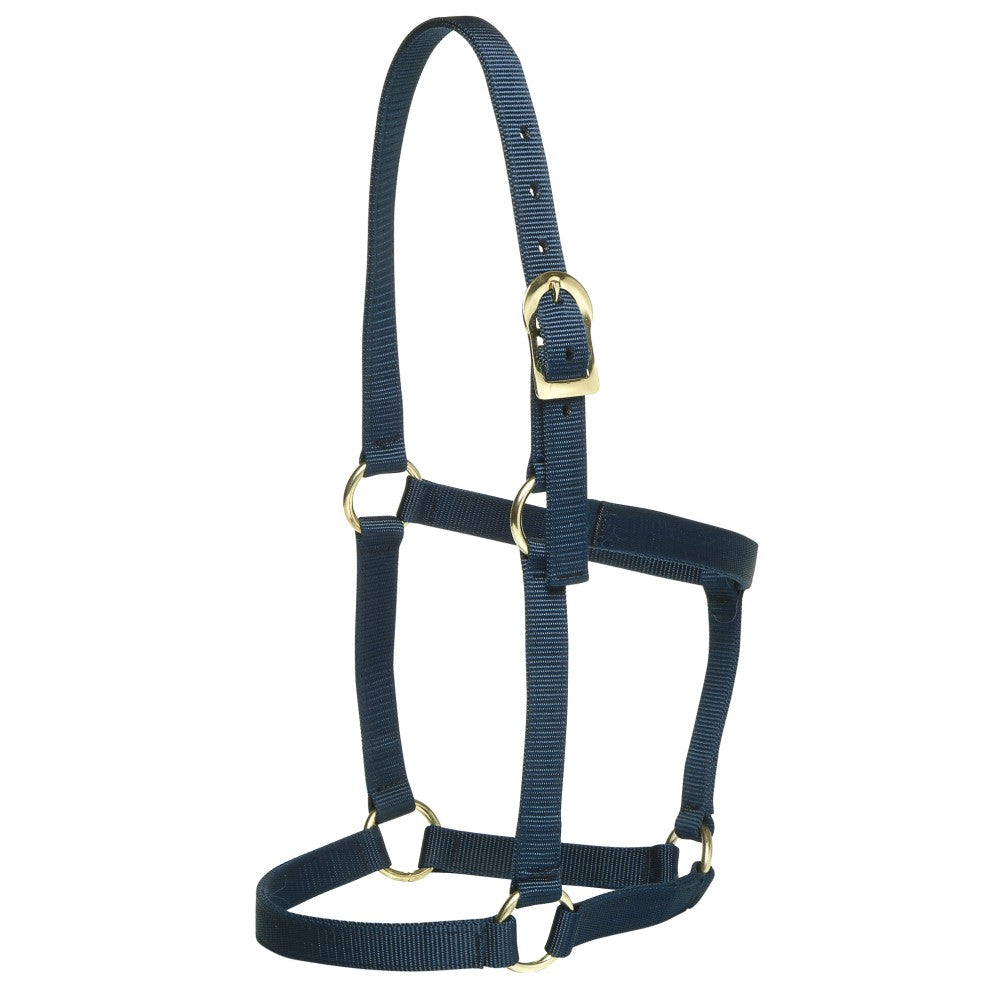 Stable Halter