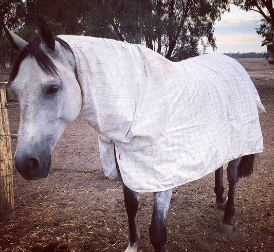 Neck Rug - Summer Breeze Cotton