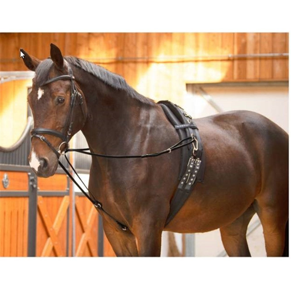 Running Side Reins w/Quick Snap